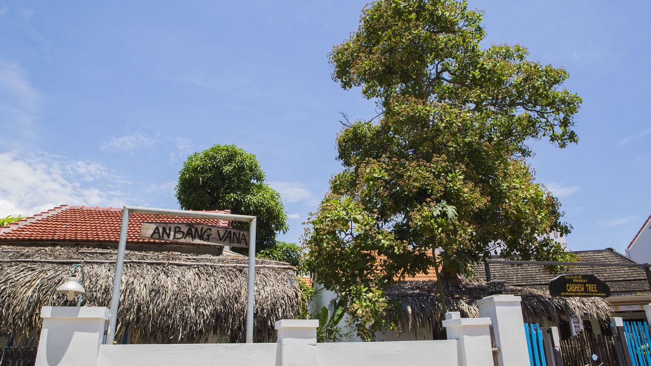 Photo of Outdoor in Cam An