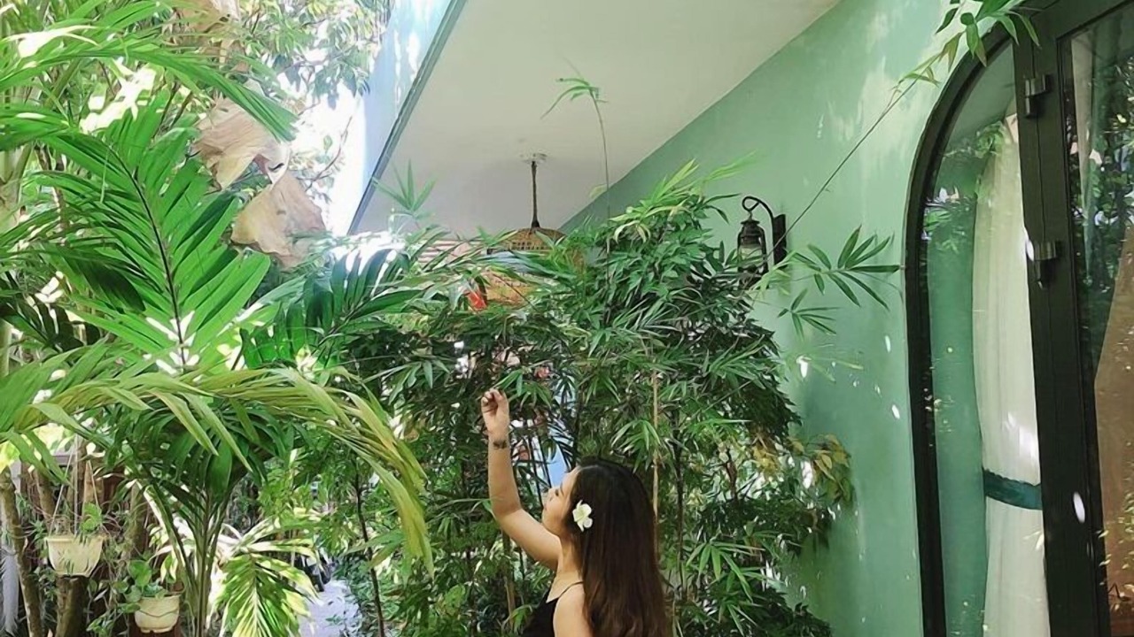 Photo of Outdoor in Cam Chau