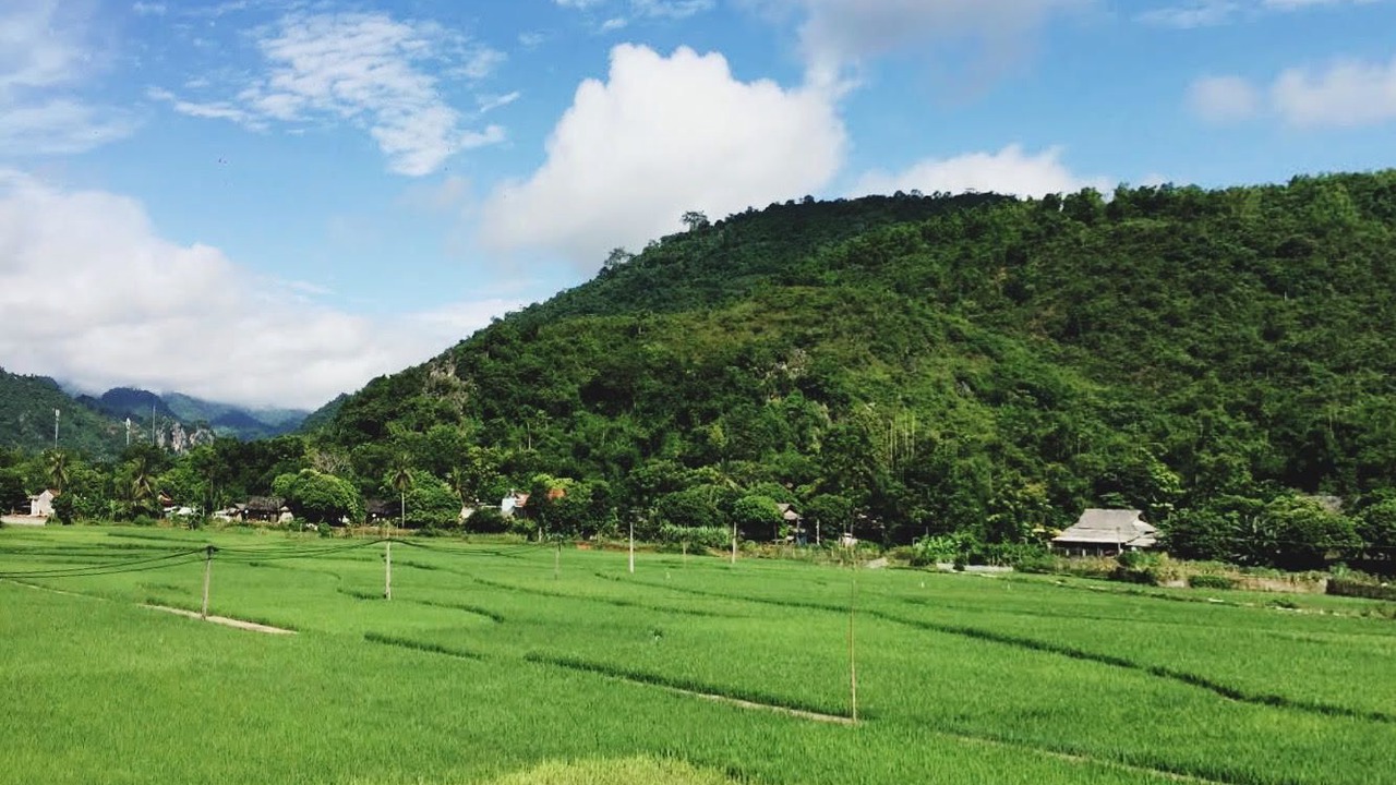 Photo of Others in Mai Chau