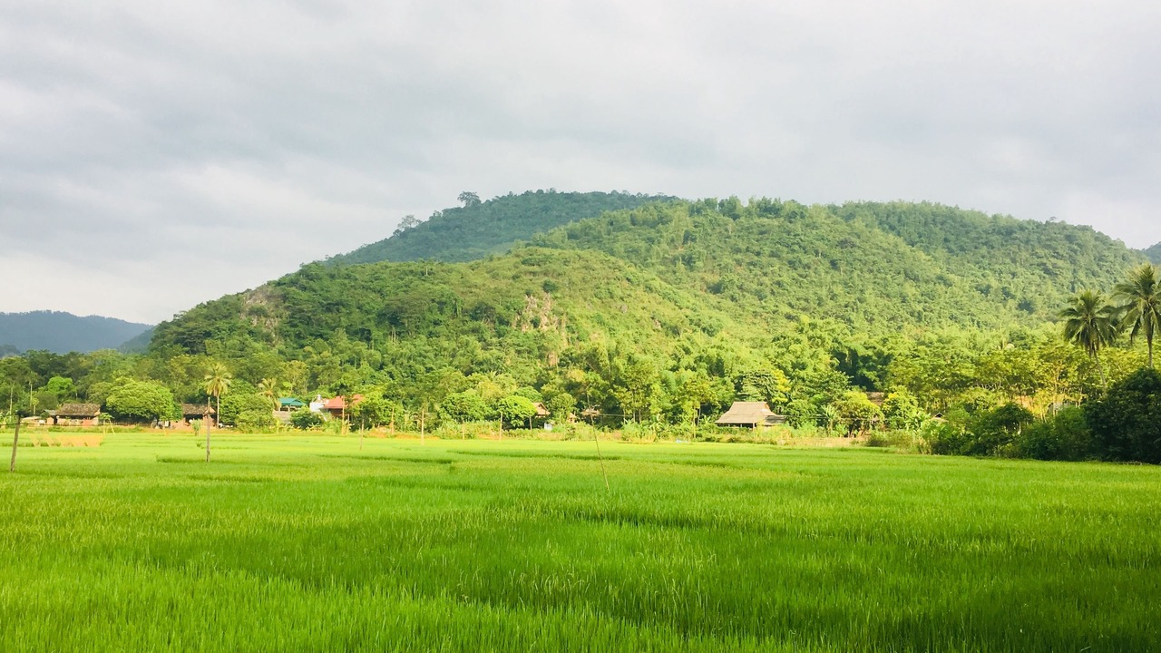 Photo of Outdoor in Mai Chau