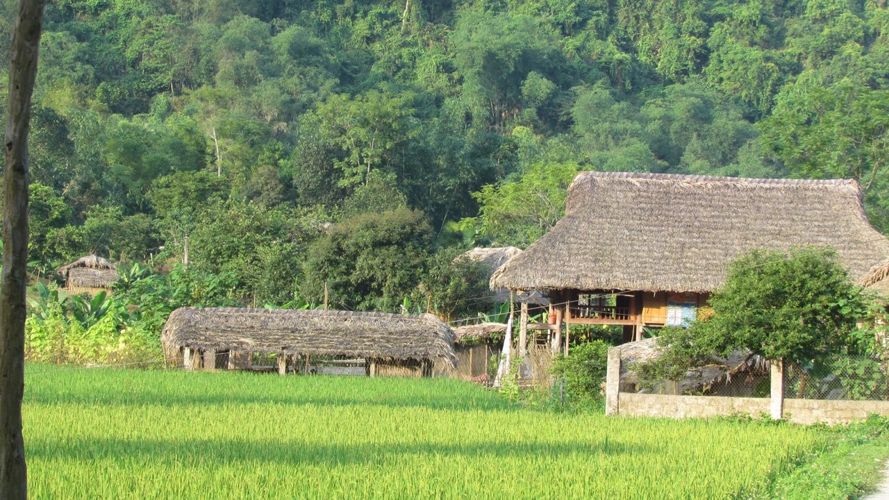 Photo of Outdoor in Nam Mau
