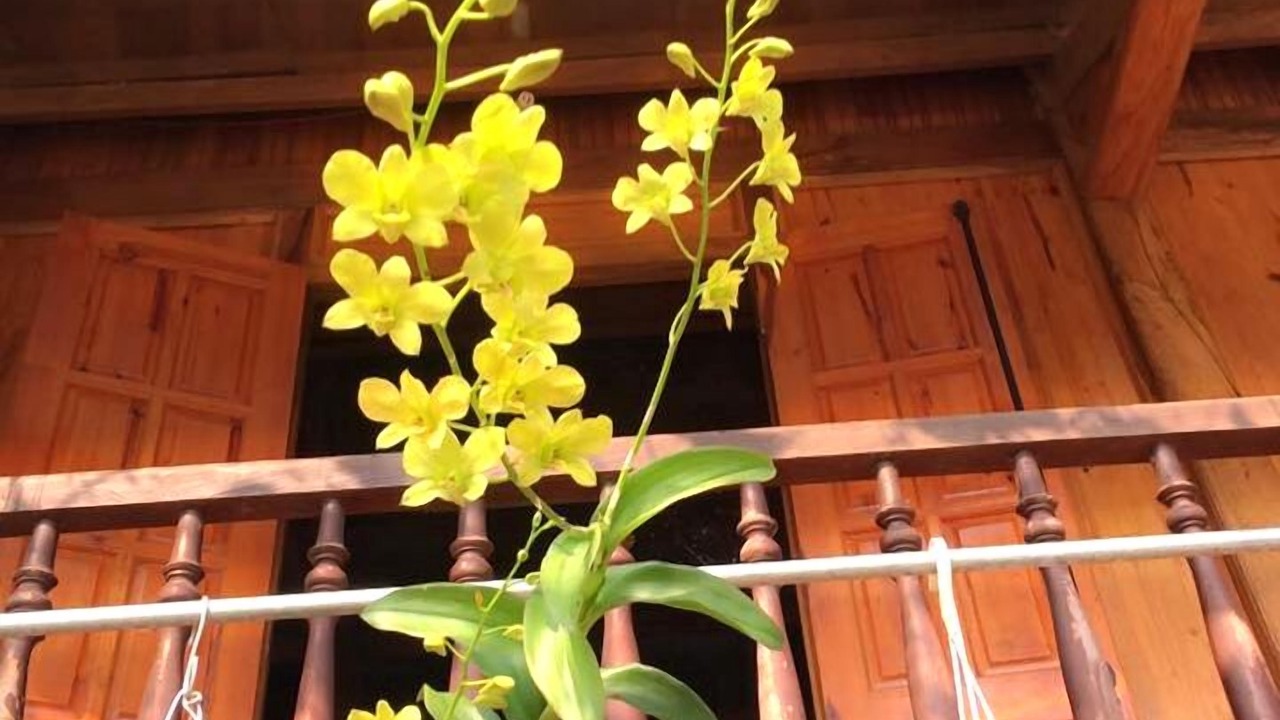 Photo of Outdoor in Nam Mau