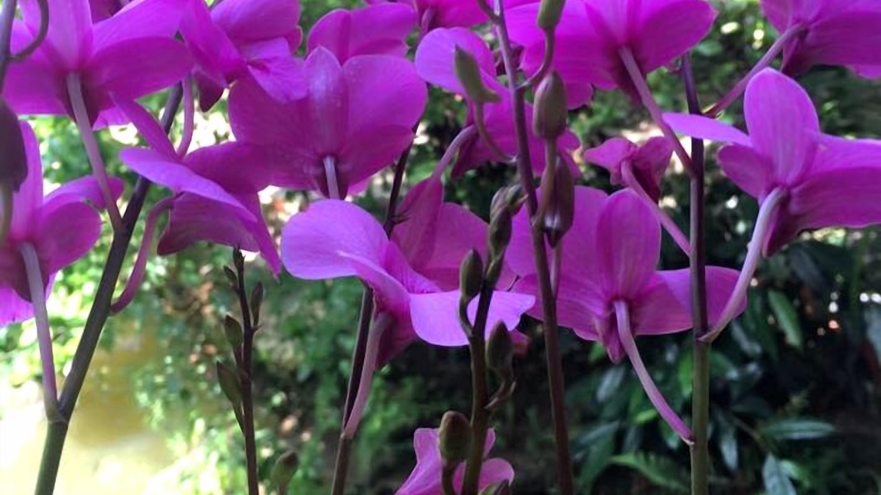Photo of Outdoor in Nam Mau