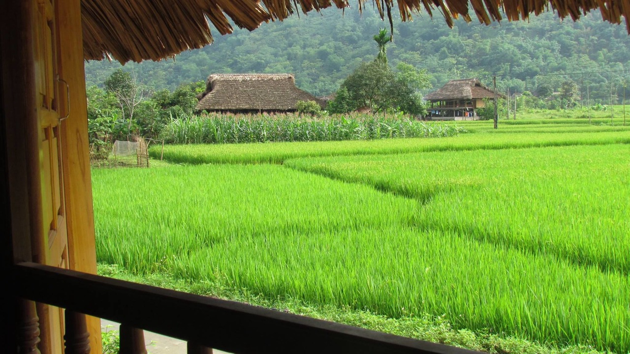 Photo of Others in Nam Mau