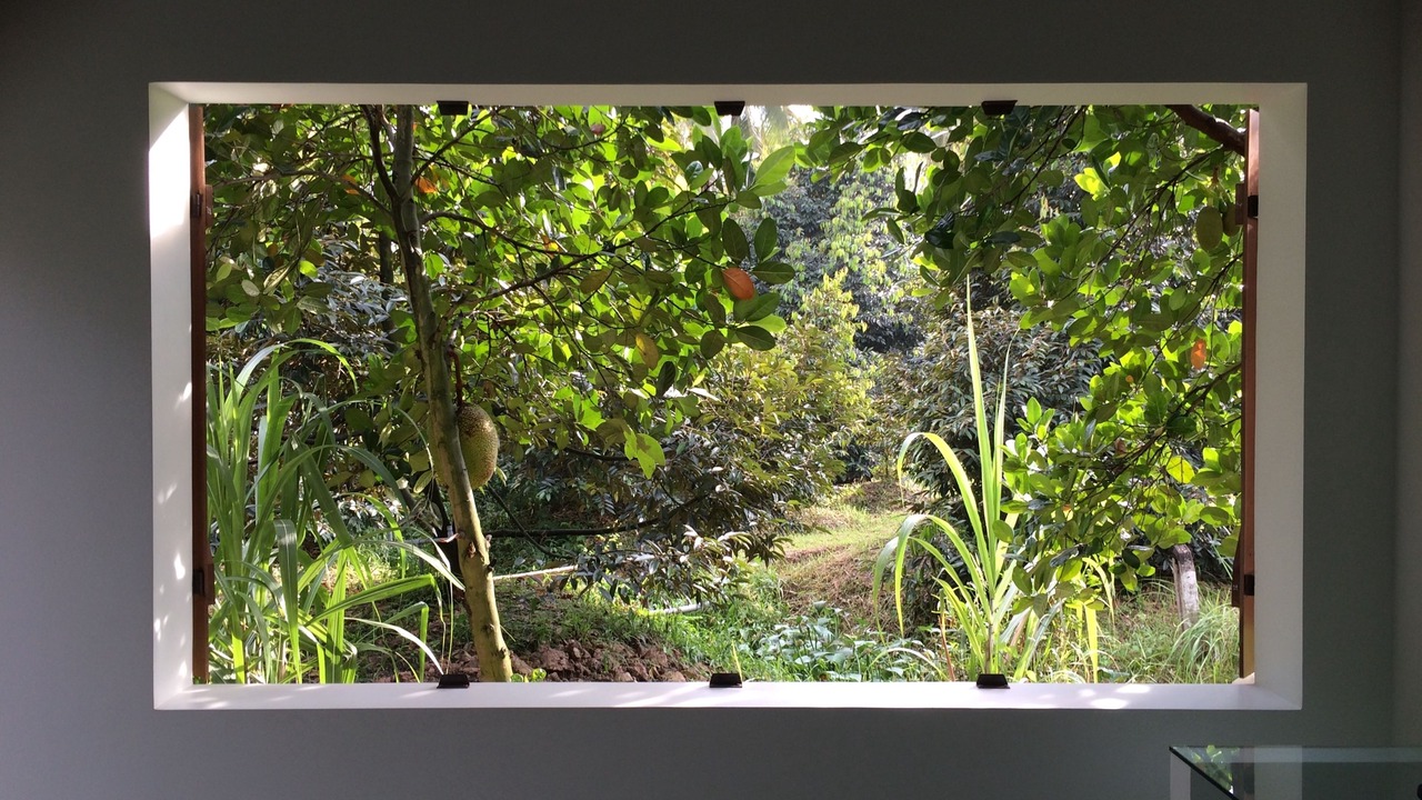 Photo of Outdoor in Cai Be