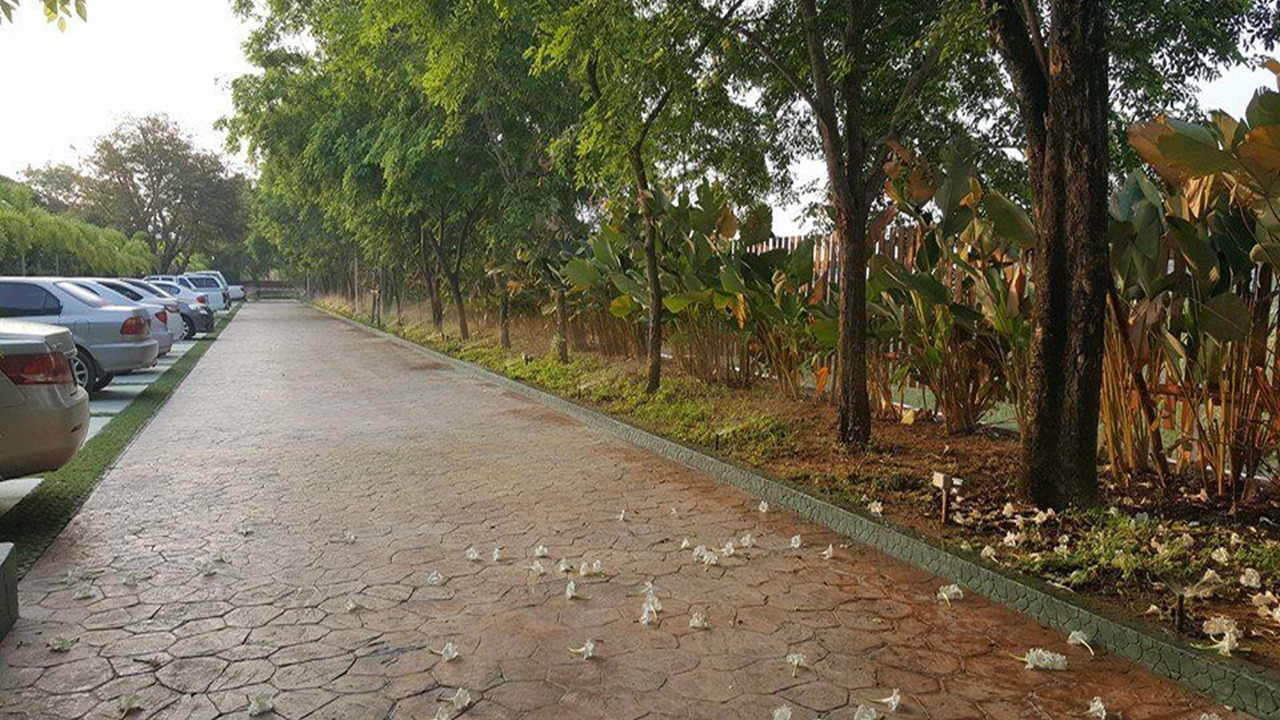 Photo of Outdoor in Map Yang Phon