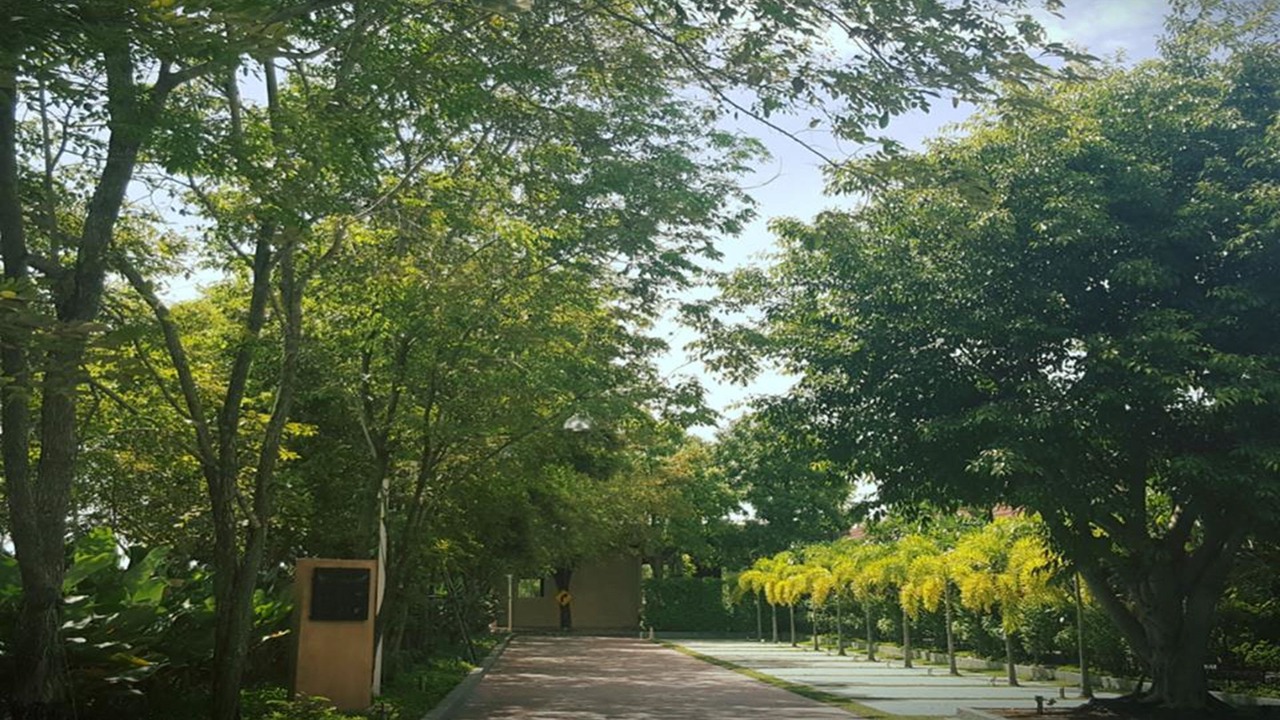 Photo of Outdoor in Map Yang Phon