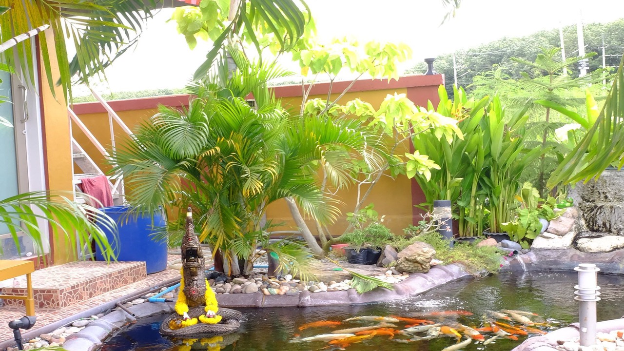Photo of Outdoor in Map Yang Phon