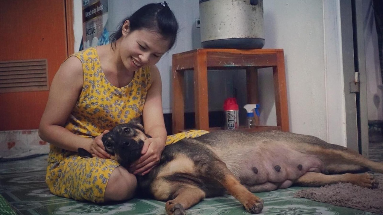 Photo of Others in Thai Nguyen