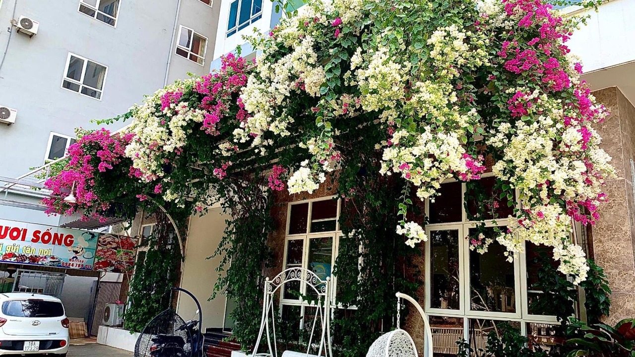 Photo of Outdoor in Hoang Hoa