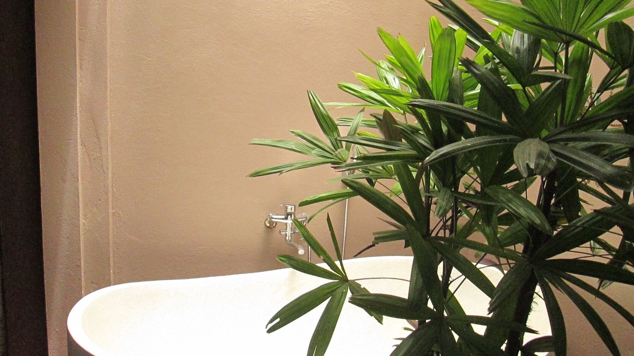 Photo of Bathroom in Gia Vien