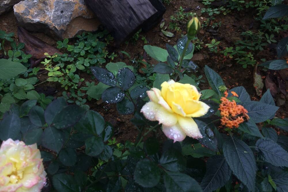 Photo of Outdoor in Gia Vien