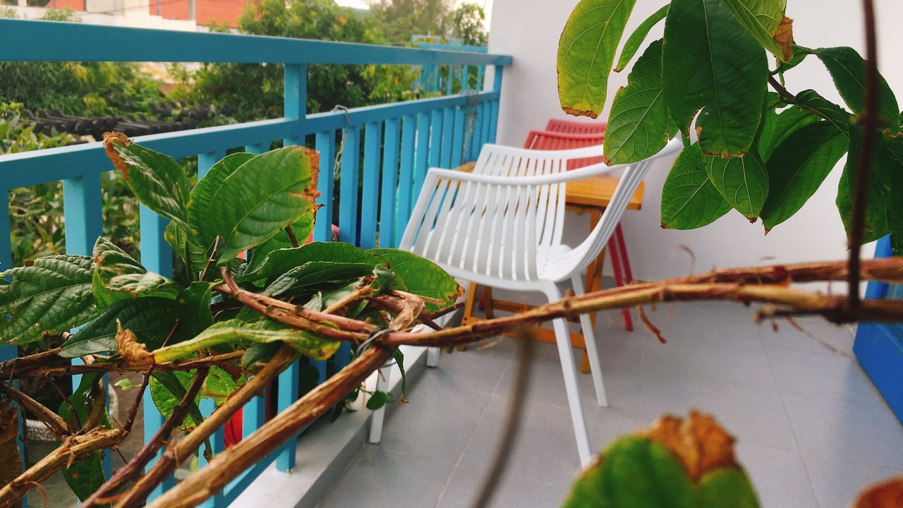 Photo of Patio Balcony in Cua Đai