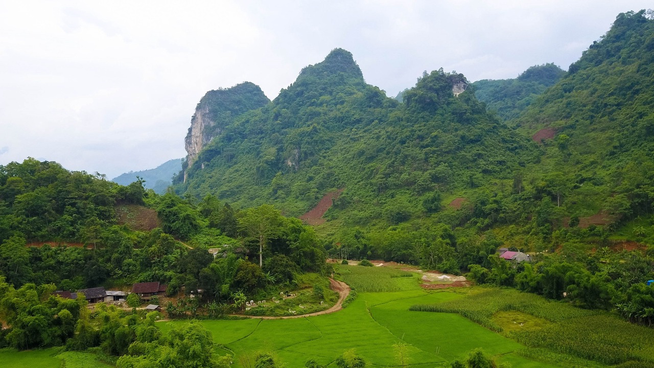 Photo of Others in Nam Mau