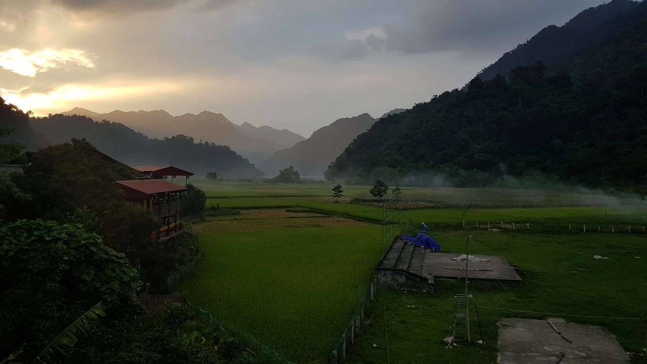Photo of Others in Nam Mau
