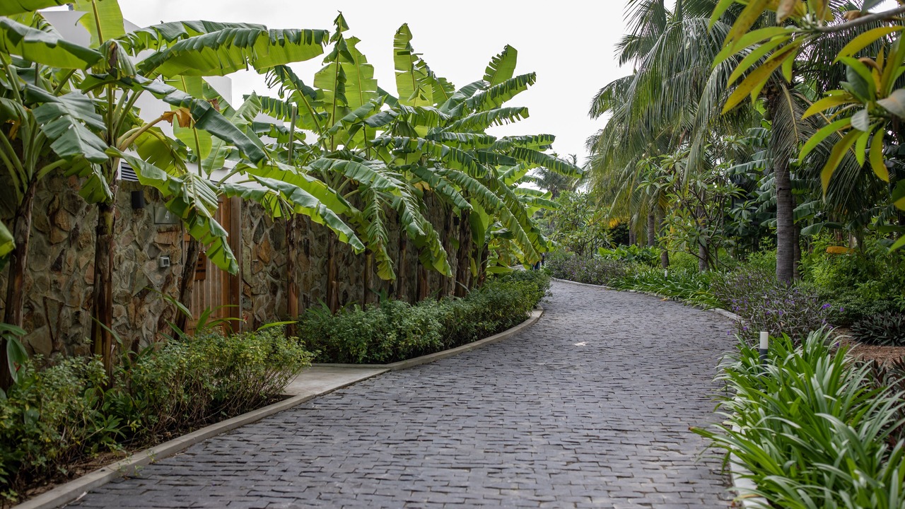 Photo of Outdoor in Song Cau