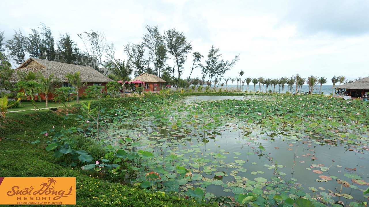 Photo of Others in Mui Ne