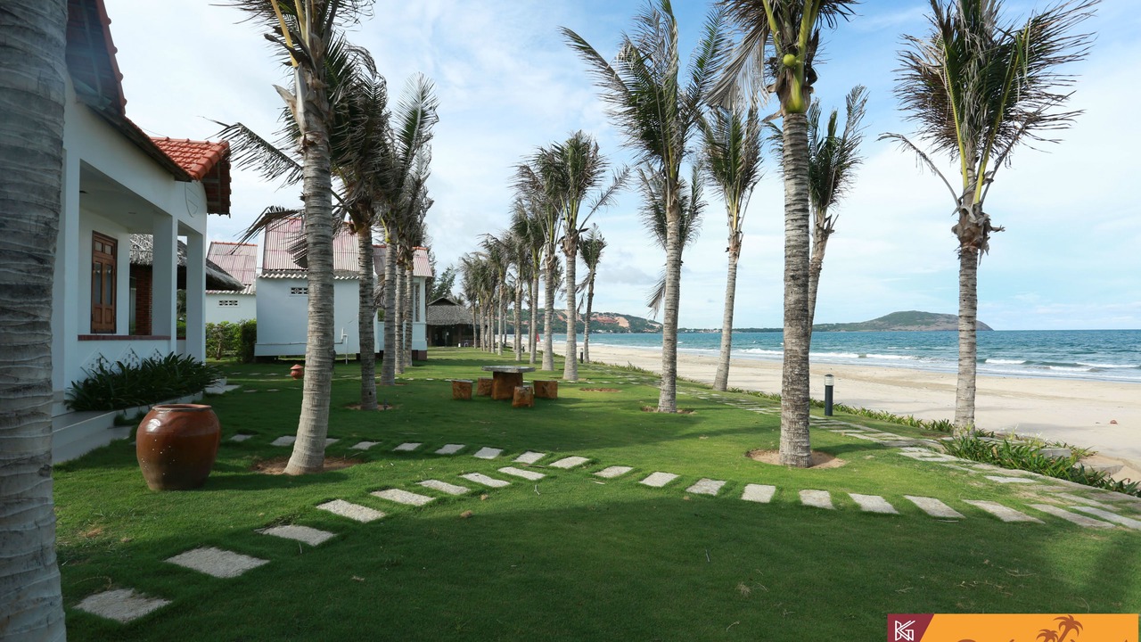 Photo of Others in Mui Ne