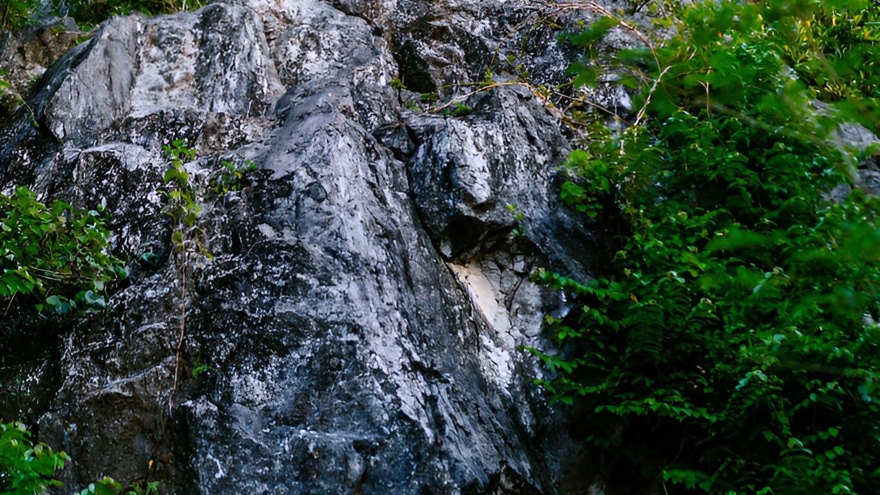 Photo of Outdoor in Phong Nha