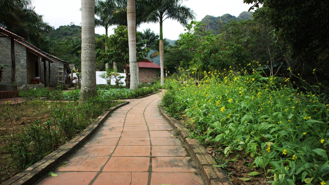 Photo of Outdoor in Cat Hai