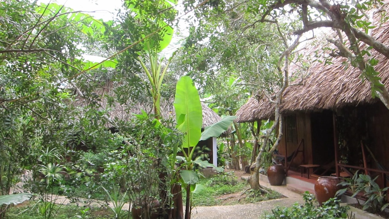 Photo of Outdoor in Cho Lach