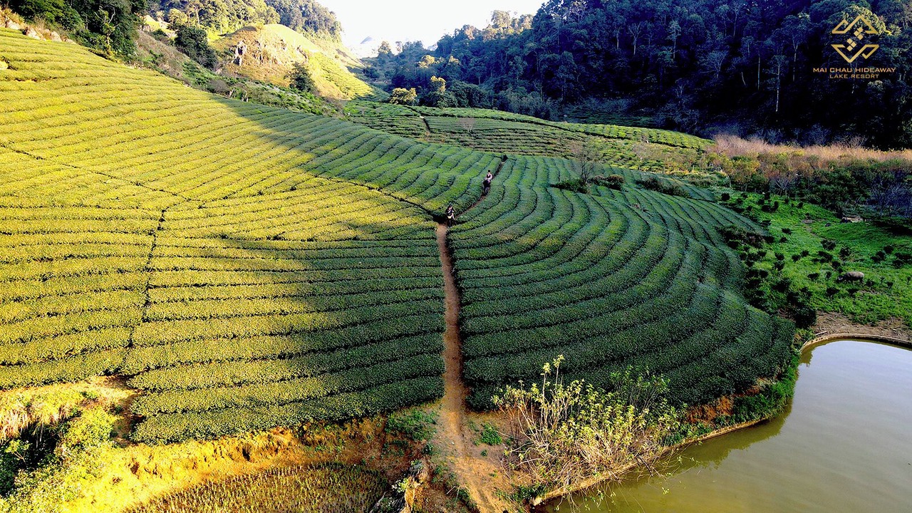 Photo of Outdoor in Mai Chau