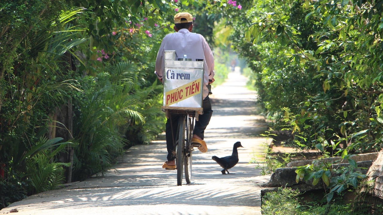Photo of Others in Cho Lach