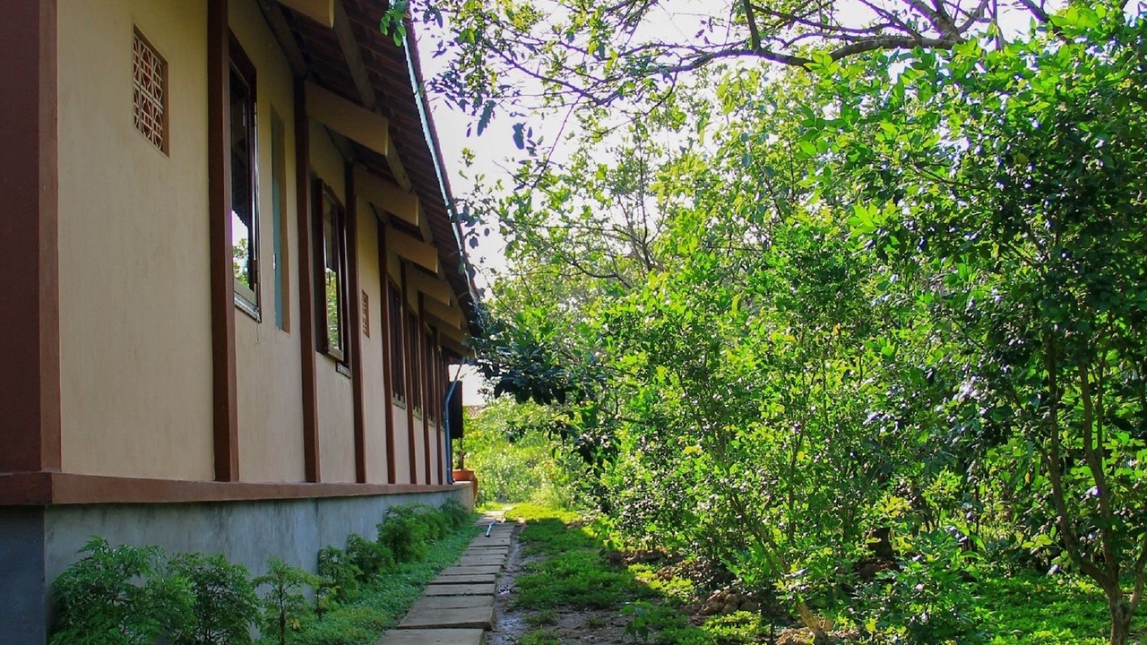 Photo of Outdoor in Cho Lach