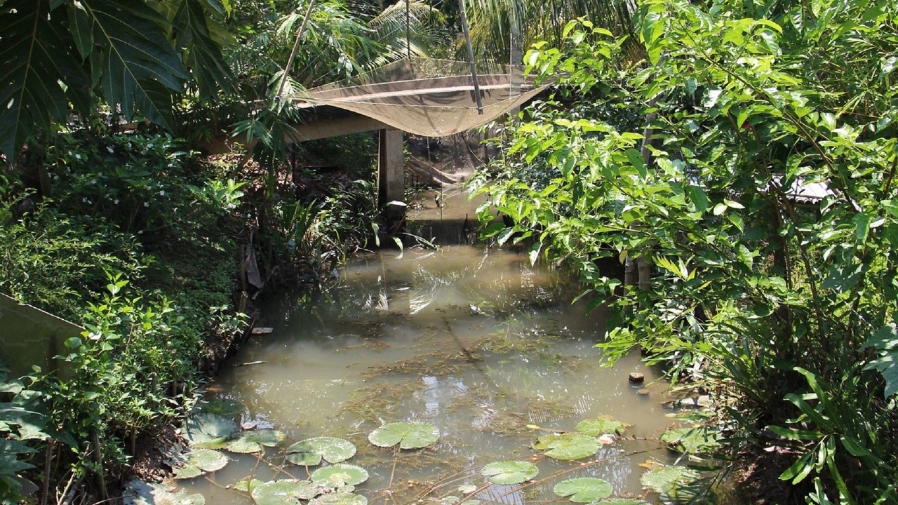 Photo of Others in Cho Lach