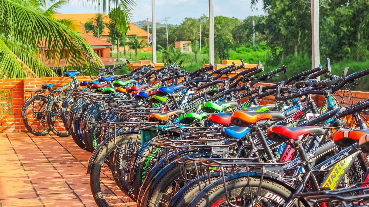 Photo of Others in Nam Cat Tien