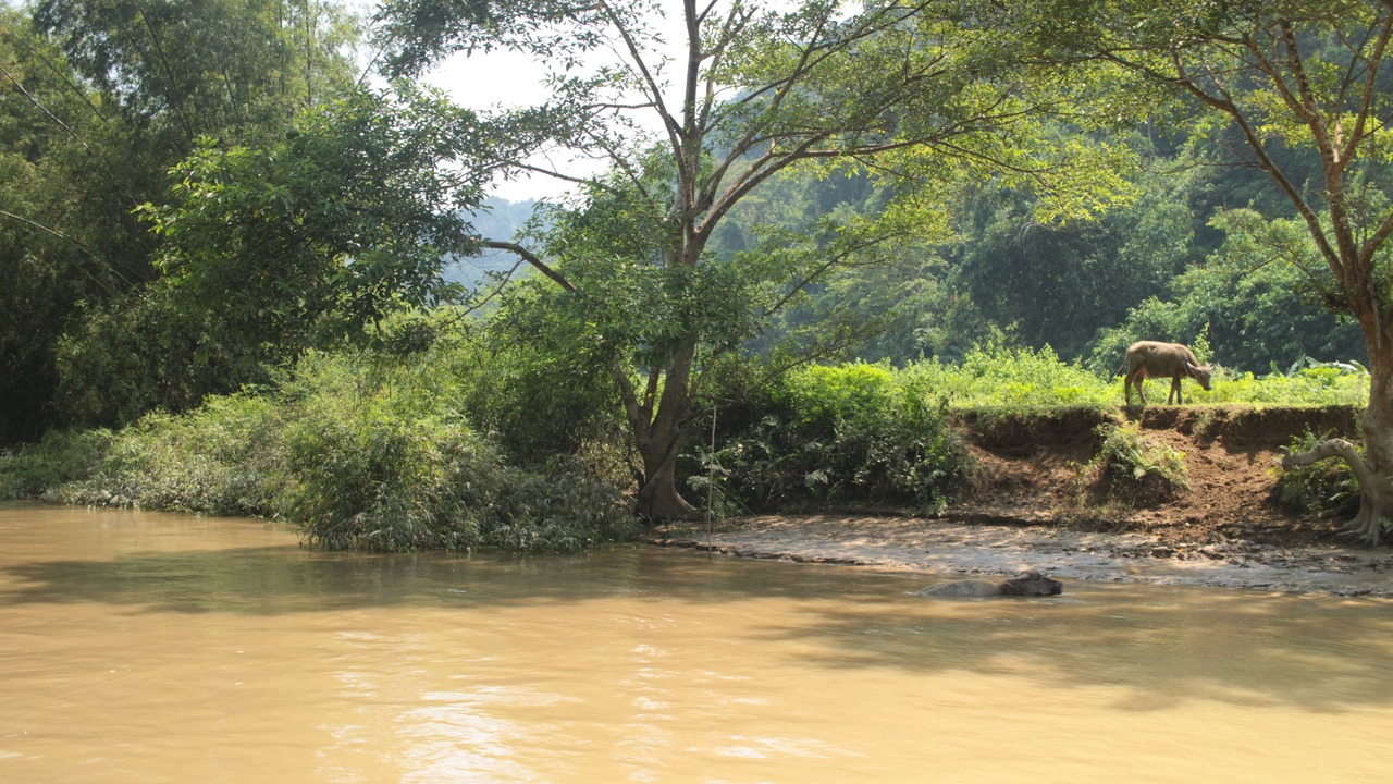 Photo of Outdoor in Nam Mau