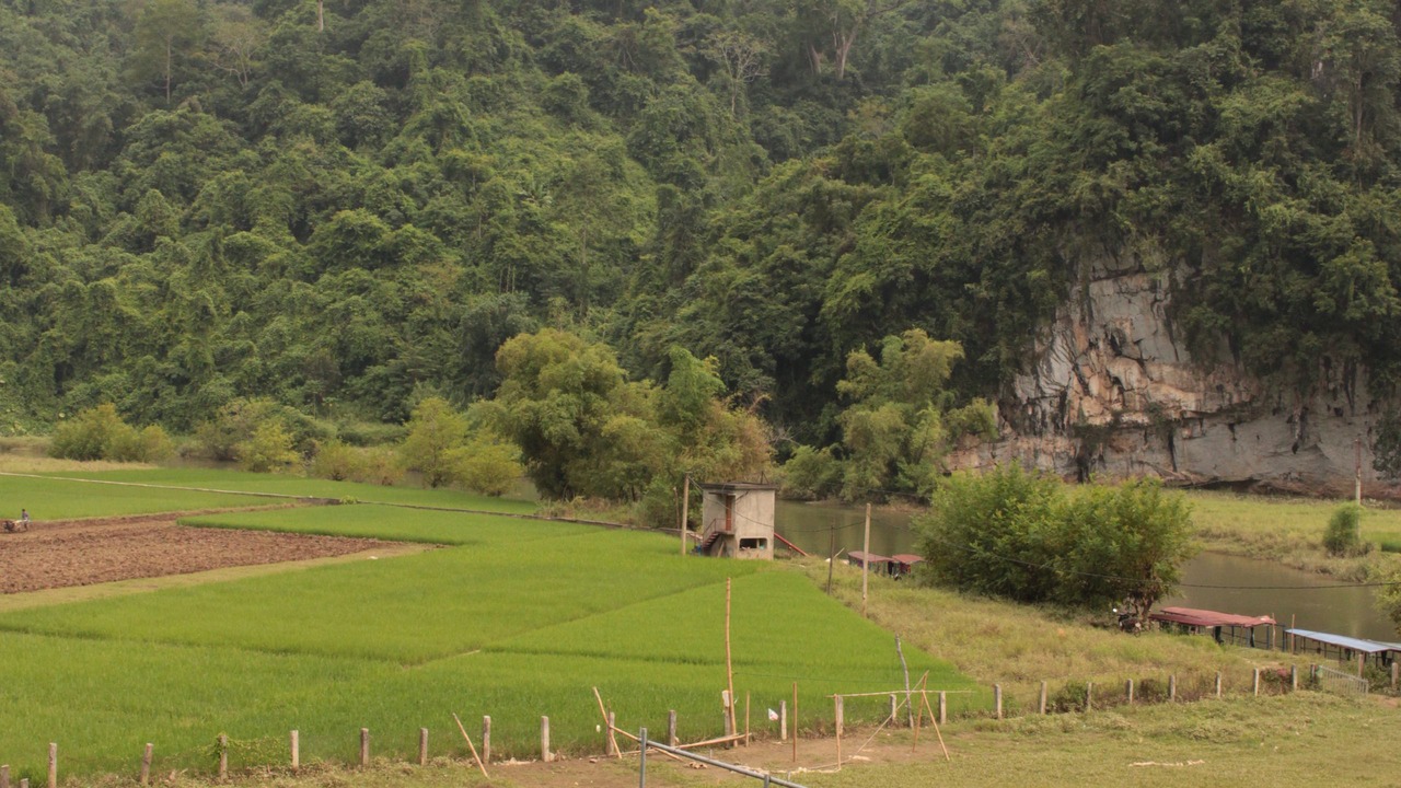 Photo of Bedroom in Nam Mau