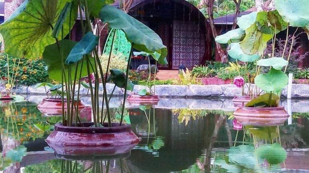 Photo of Outdoor in Ninh Kieu
