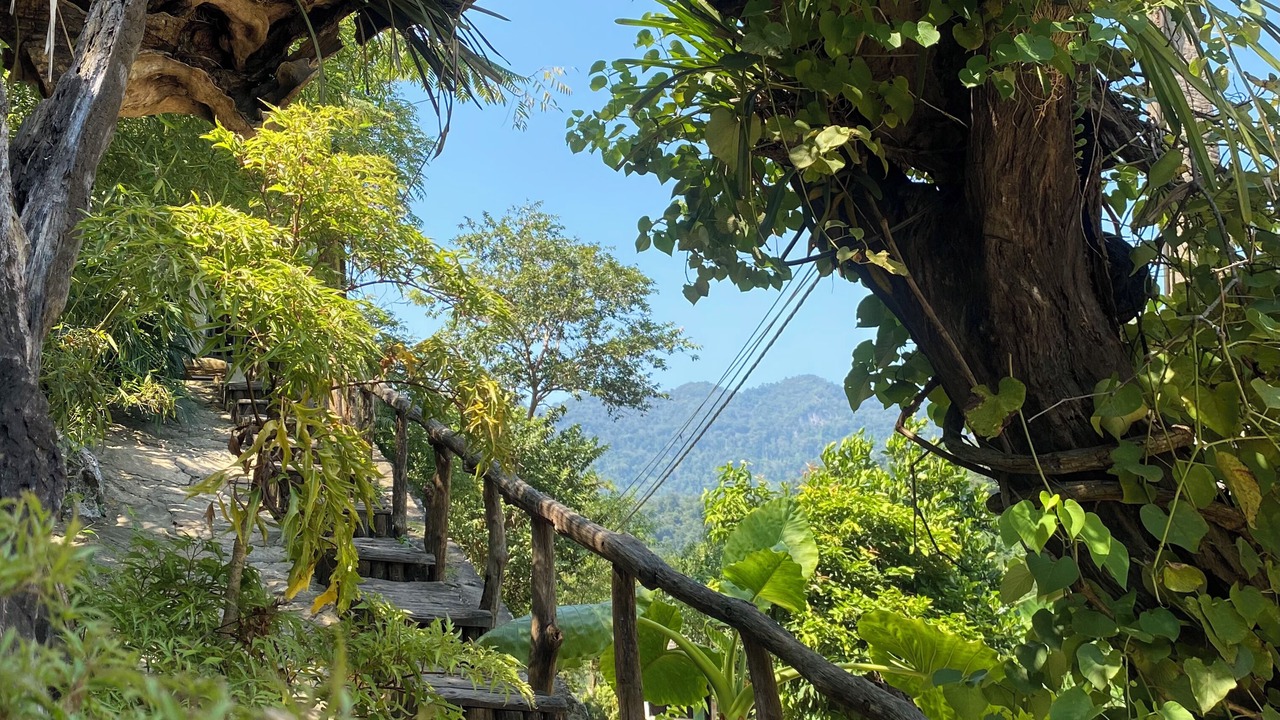 Photo of Outdoor in Nam Mau