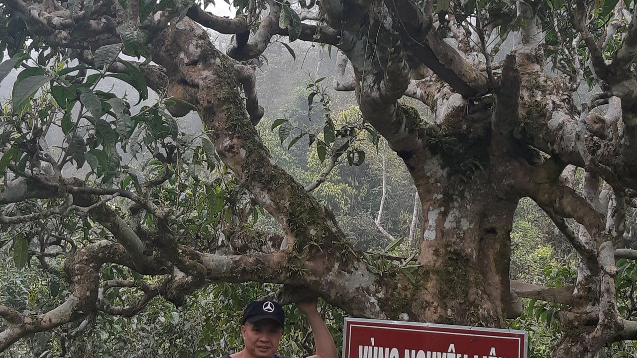 Photo of Outdoor in Ha Giang