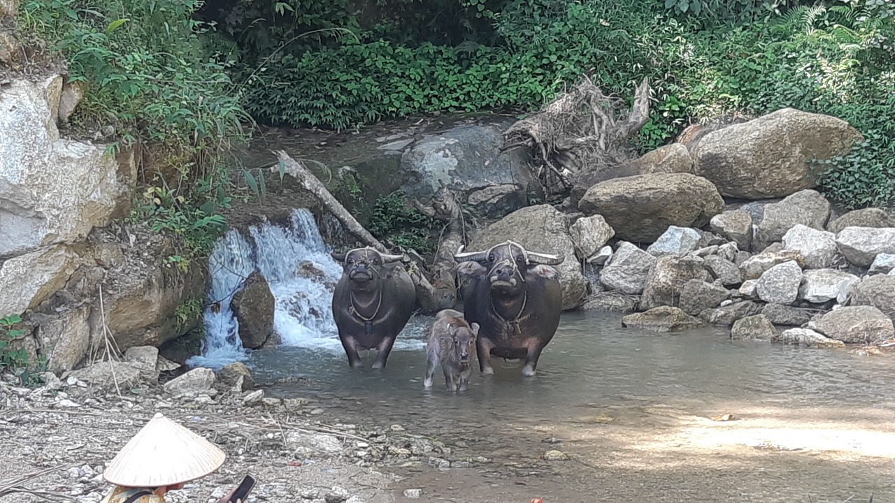 Photo of Outdoor in Ha Giang