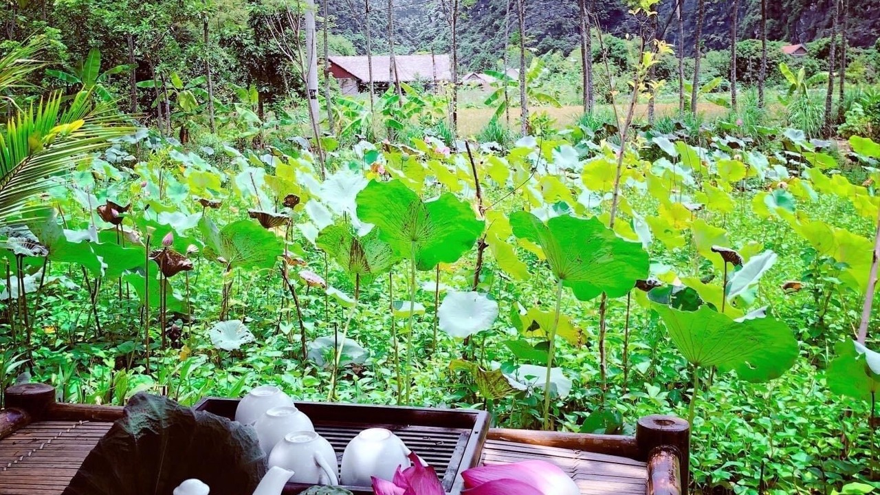Photo of Outdoor in Hoa Lu