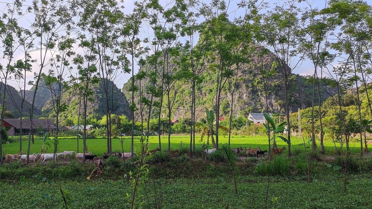 Photo of Outdoor in Hoa Lu