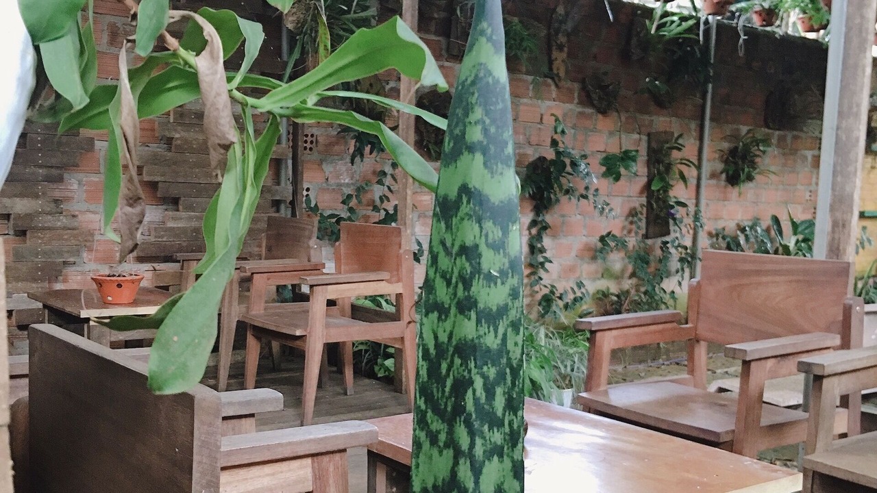 Photo of Patio Balcony in Pleiku
