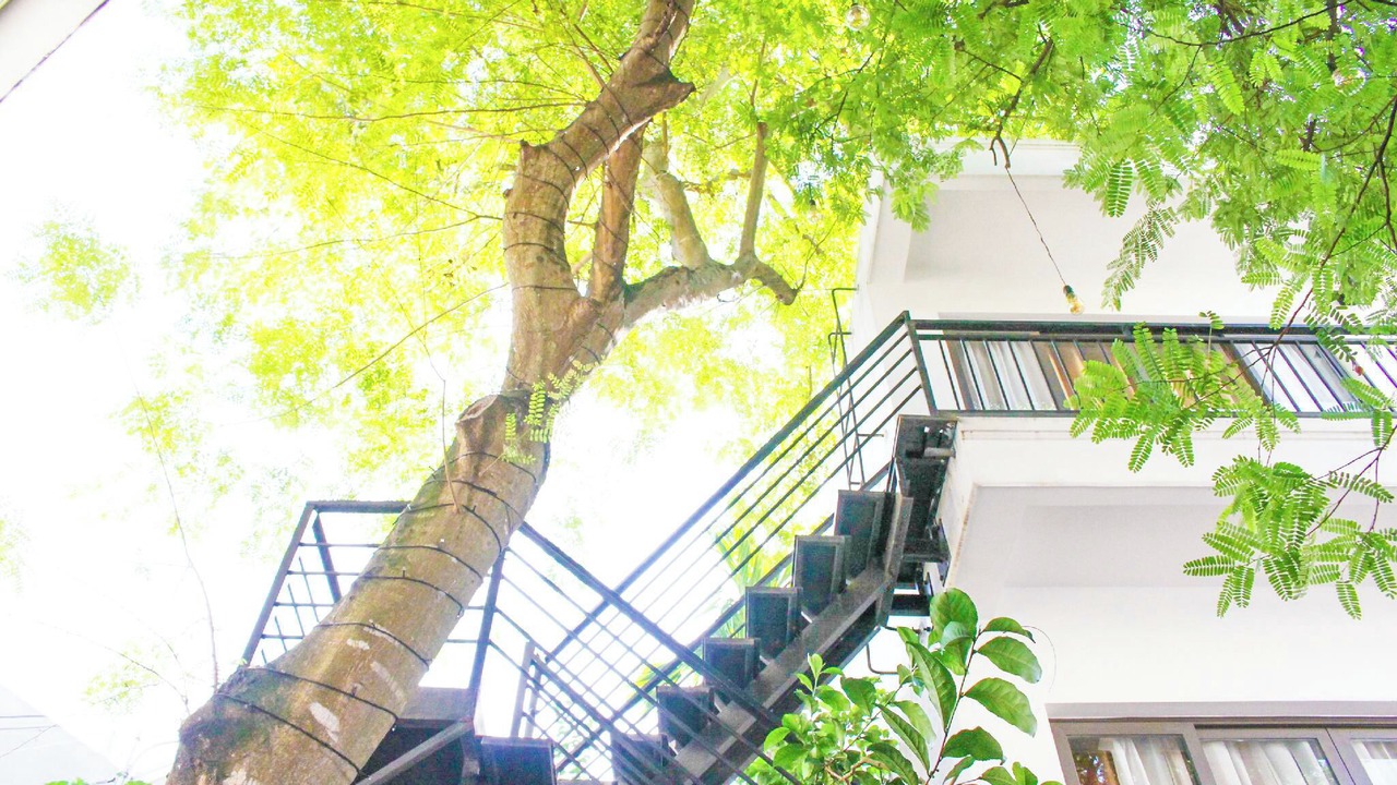 Photo of Outdoor in Bai Chay