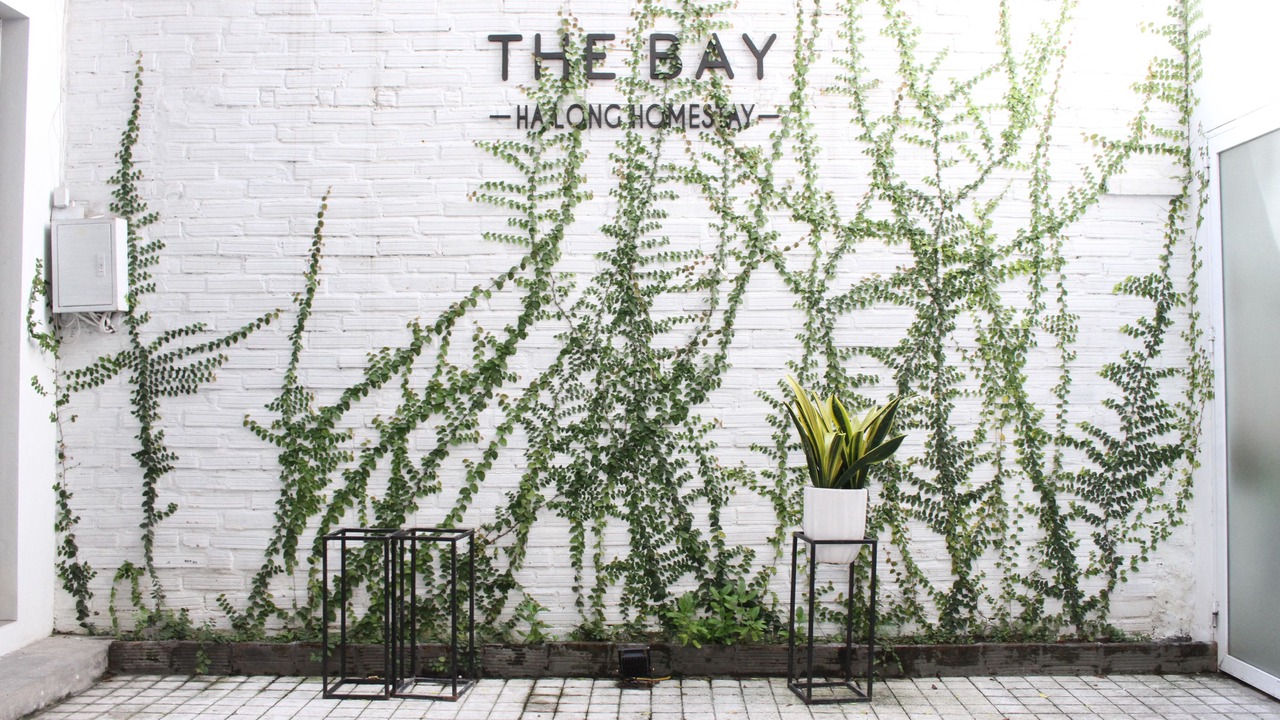 Photo of Outdoor in Bai Chay