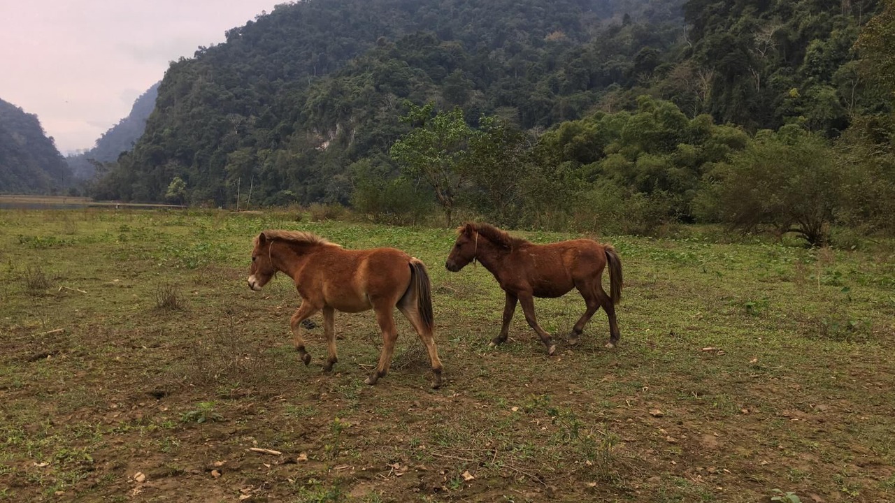 Photo of Outdoor in Nam Mau