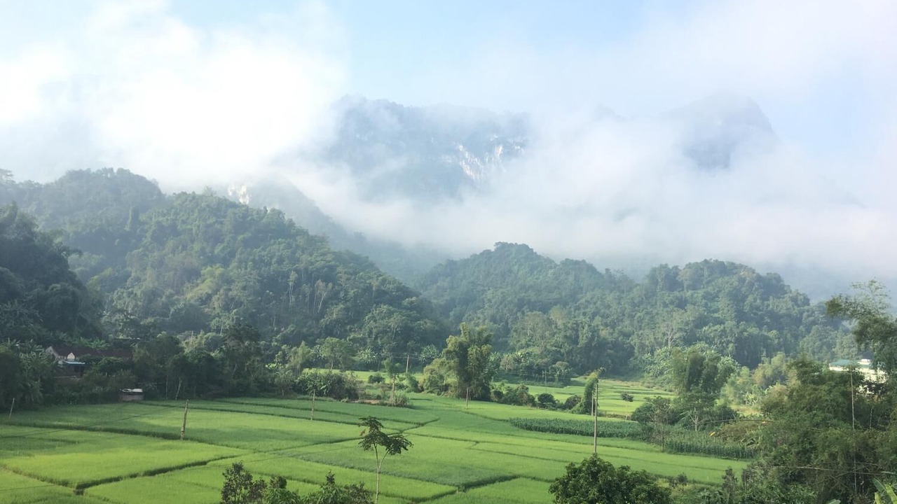Photo of Others in Nam Mau