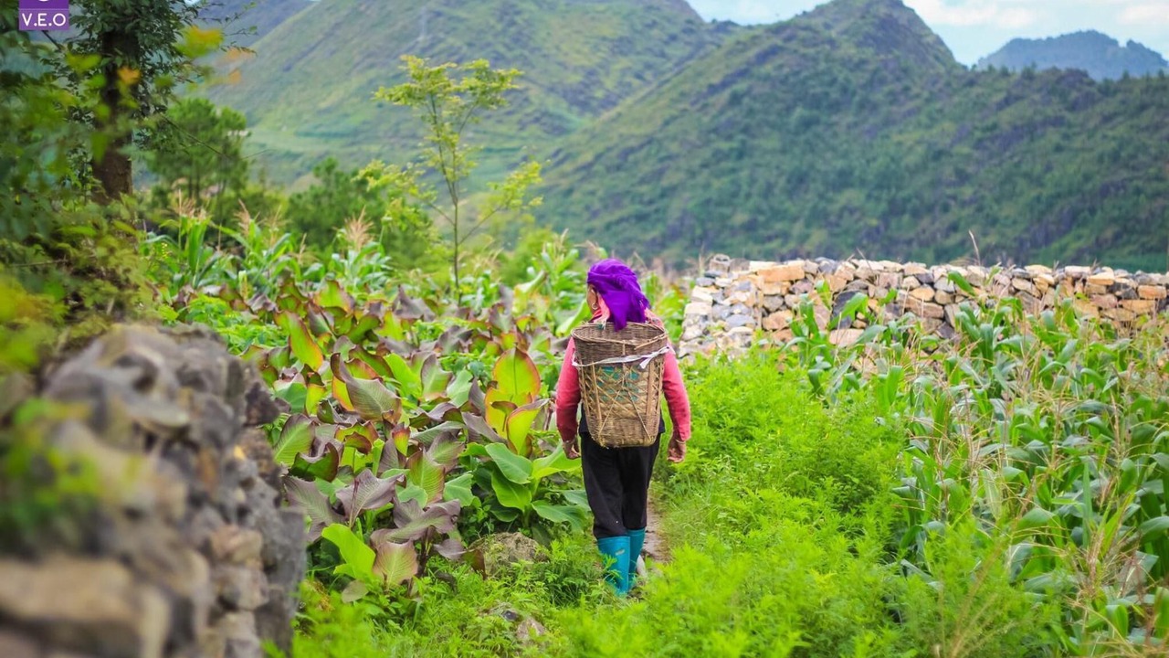 Photo of Outdoor in Dong Van