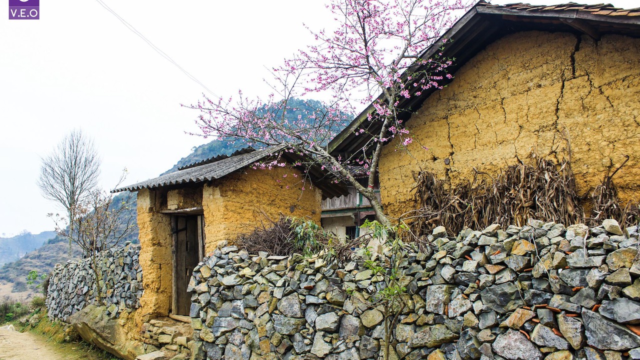 Photo of Outdoor in Dong Van