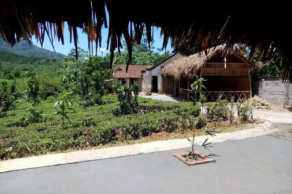 Photo of Outdoor in Ba Vi