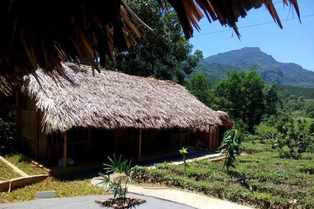 Photo of Outdoor in Ba Vi
