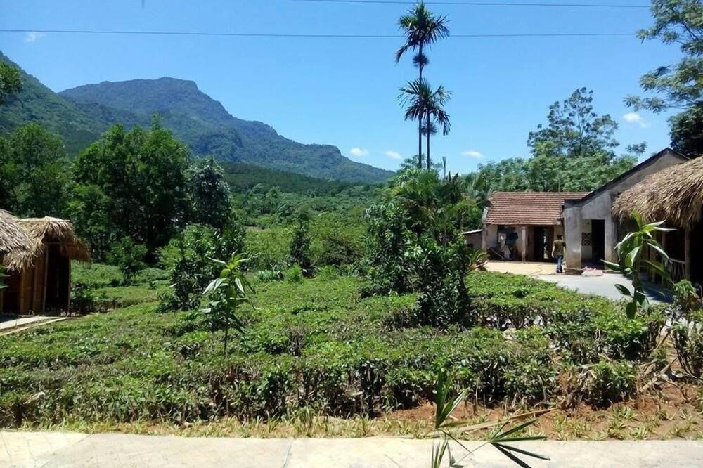 Photo of Outdoor in Ba Vi