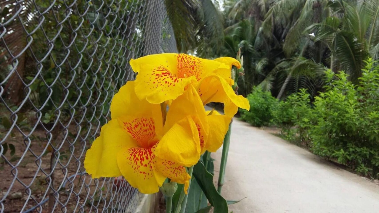 Photo of Outdoor in Mo Cay Nam