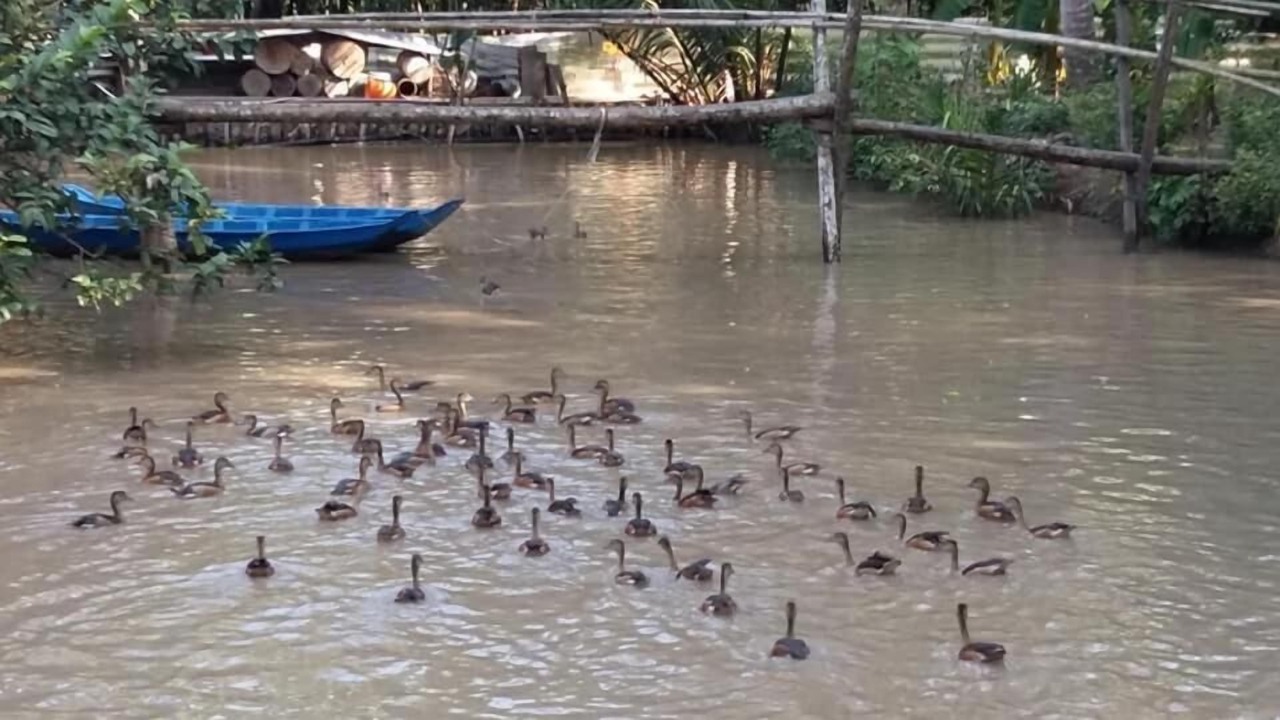 Photo of Outdoor in Mo Cay Nam